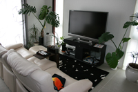 �T�������i