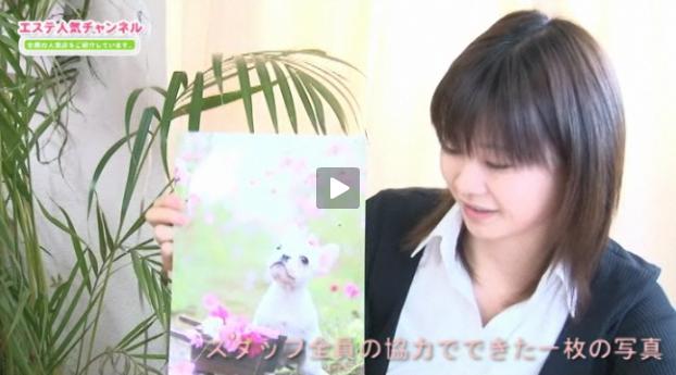 �y�b�g�t�H�g�@�R�X���X